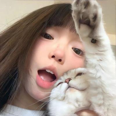 大毛狗